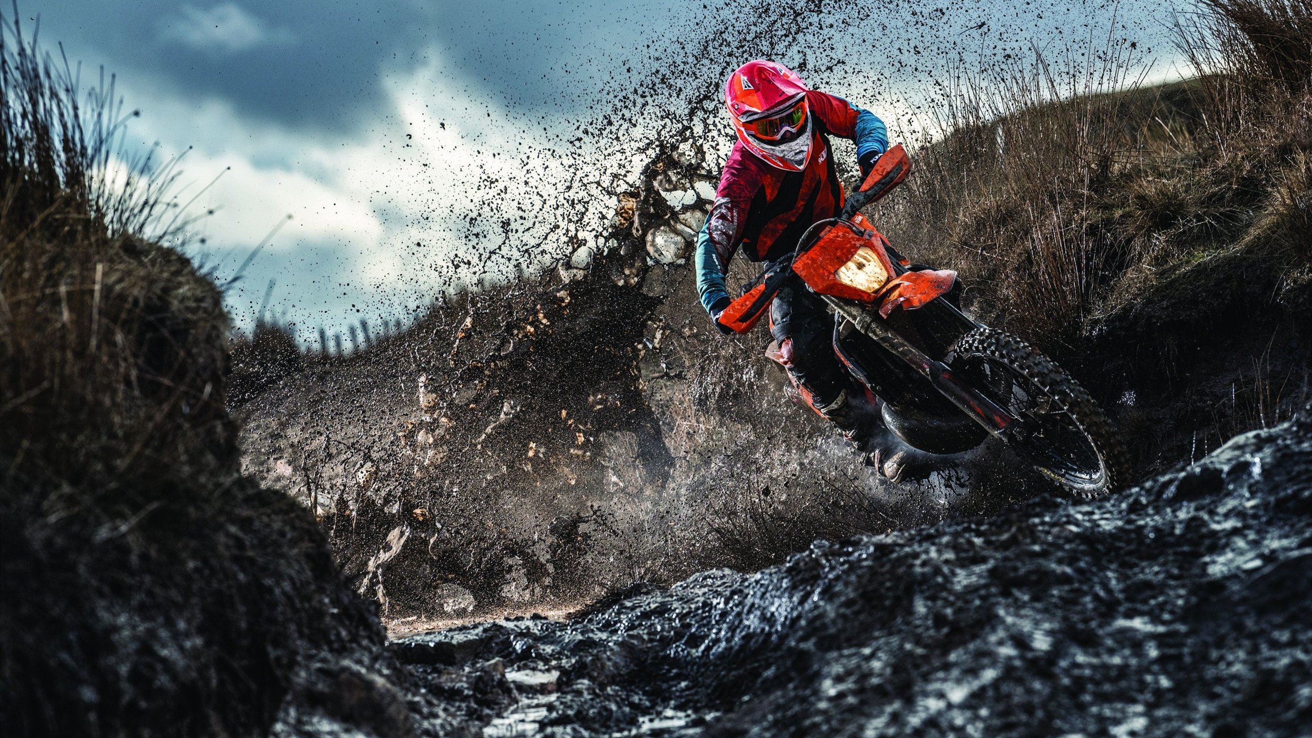 2024年混合团体世界杯:瑞典队力压群雄的精彩表现,2021年世界杯瑞典